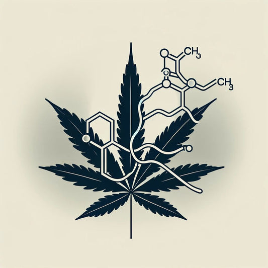 The Mango Connection: Myrcene's Influence in Cannabis Experience
